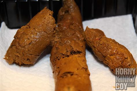 gay scat porn